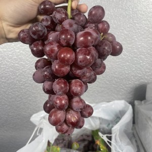 캔디포도 1kg